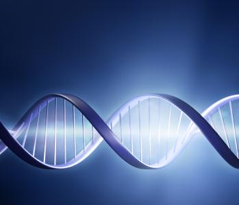 DNA sequencing